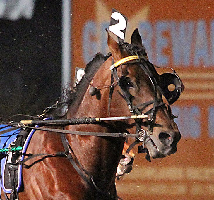 Meadowlands Trainer Mark Ford has mixed feelings on his Saturday sixpack